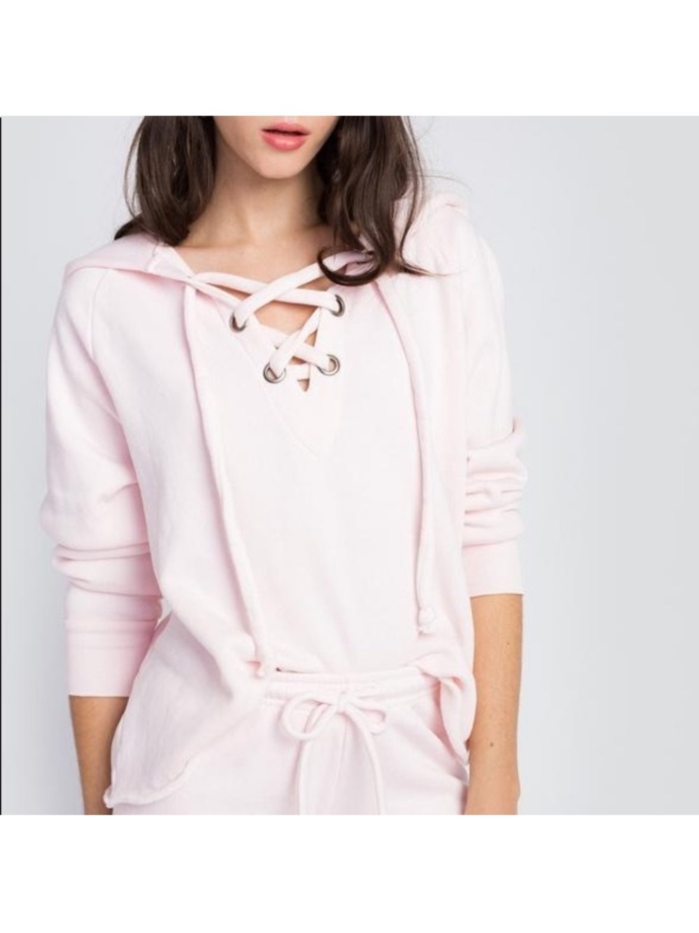 Wildfox Hutton Sweatshirt Hoodie in Seahell Pink size medium relaxed cozy